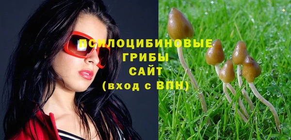 марки nbome Алексеевка