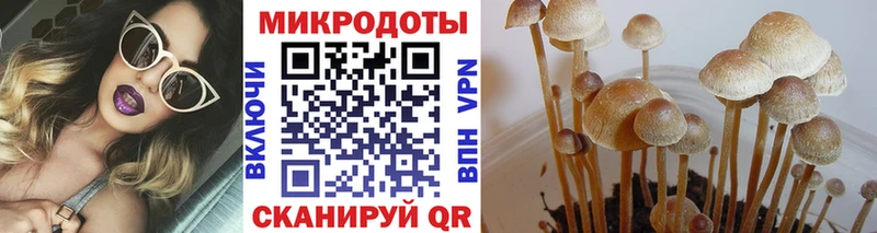 Галлюциногенные грибы мицелий  дарнет шоп  гидра рабочий сайт  Елизово 